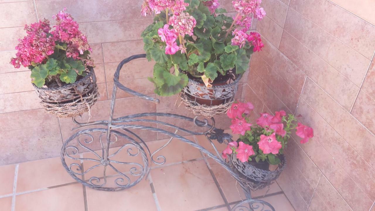 Apartamento Bravo 24 Fuengirola Exterior foto